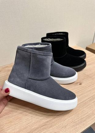 Сапоги замша8 фото