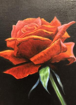 Картина розы. картина маслом на холсте. размер 20*25 см.2 фото