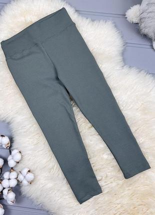 Лосины рубчик оливковые