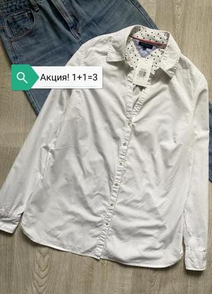 Tommy hilfiger блузка, блуза, базовая белая рубашка, сорочка, рубашка, классическая рубашка