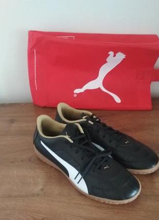 Puma classico 2025