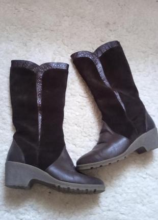 Ara сапоги шикарні хутро шкіра натур замш