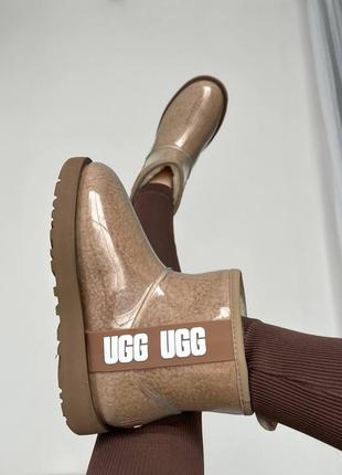 Уггі угги уги угі ugg classic clear mini brown