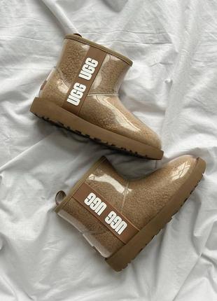 Уггі угги уги угі ugg classic clear mini brown