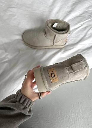 Уги угі уггі угги ugg mini beige premium2 фото