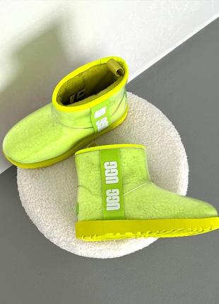 Уггі угги уги угі ugg classic clear mini sulfur2 фото