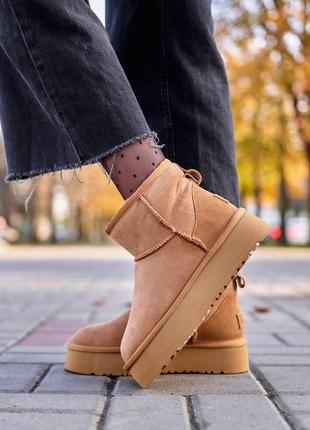 Женские зимние ugg classic mini platform chestnut, замша, овчина, очень теплые