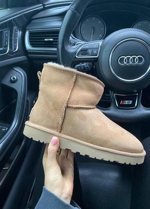 Уггі угги уги угі Bluzy ugg classic mini chestnut