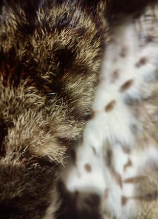 Шуба sollo exclusive шубка из натурального меха тростниковый кот, липпи, дикая рысь кожаная енот.7 фото