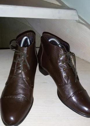 Шкіряні демісезонні черевики бренду everybody shoes by moda розмір 39 (25,5 см)