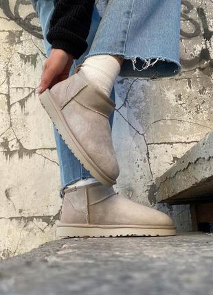 Женские угги ugg classic ultra mini light grey / smb