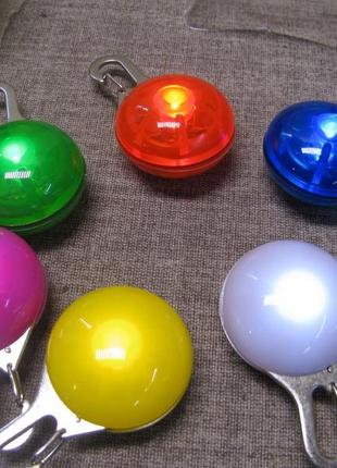 Маячки для собак