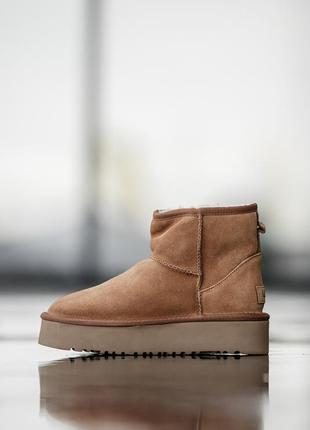 Жіночі уггі ugg classic mini platform chestnut / smb