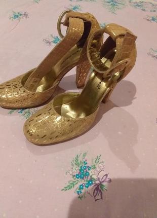 Туфлі Пальто stella polare c поясом