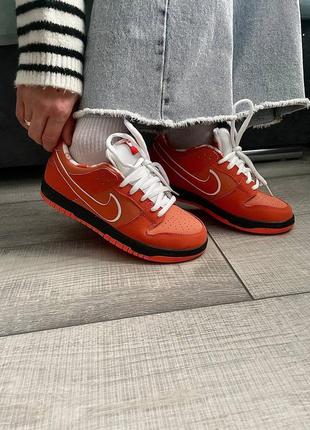 Nike sb dunk low concepts x orange lobster2 фото