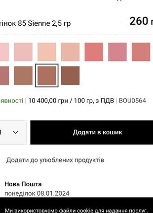 Запечені рум'яна bourjois blush sienne 854 фото