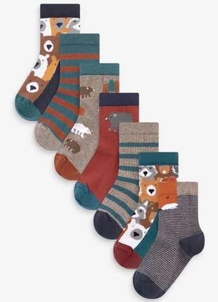 Носки набор