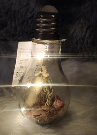 Стеклянный светильник ночник лед лампа с гирляндой растения5 фото