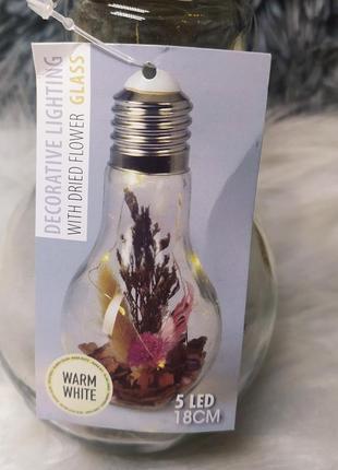 Стеклянный светильник ночник лед лампа с гирляндой растения