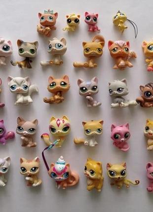 Кот кошка животное питомец лпс литлест пет шоп lps liitlest pet shop хасбро hasbro.1 фото