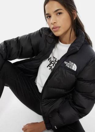 Куртка пуховик the north face 1996 nuptse jacket 7002 фото