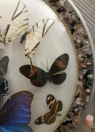 Панно настінне « метелики бразилії»6 фото