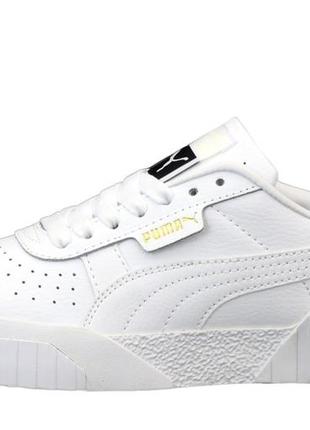Puma cali