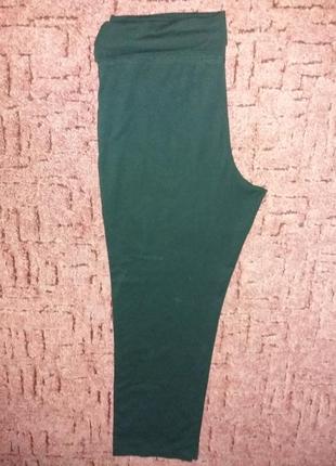 Брюки леггинсы лосины трикотажные батал бренда tu p.18