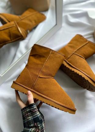 Женские ugg classic short caramel