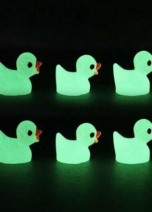 Светящиеся уточки, 3 шт