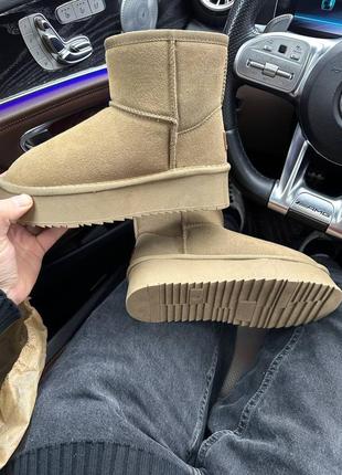 Угги жіночі ugg mini platform grass green