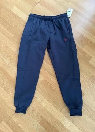 Спортивные штаны теплые u.s.polo 102157-k5 navy, размер м