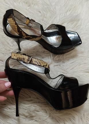 Туфлі casadei