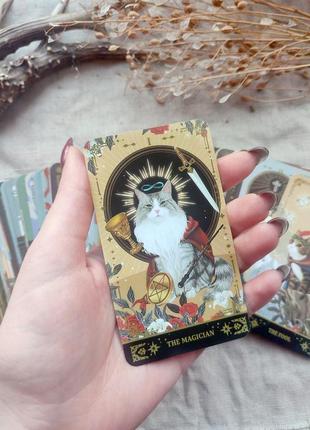 Гадальные карты таро котов muse cat tarot таро с котиками котами колода карт2 фото