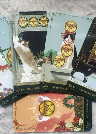 Гадальные карты таро котов muse cat tarot таро с котиками котами колода карт4 фото