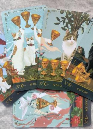 Гадальные карты таро котов muse cat tarot таро с котиками котами колода карт5 фото