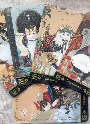 Гадальные карты таро котов muse cat tarot таро с котиками котами колода карт3 фото