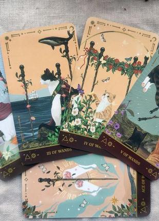 Гадальные карты таро котов muse cat tarot таро с котиками котами колода карт8 фото