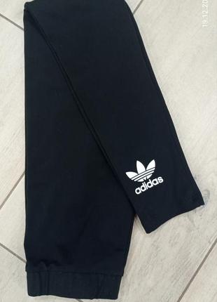 Лосіни adidas trefoit tight cw50764 фото