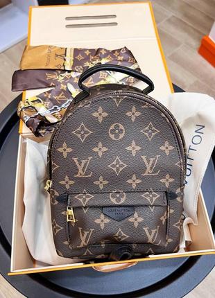 Рюкзак louis vuitton mini 
в полном комплекте брендовий упаковки1 фото