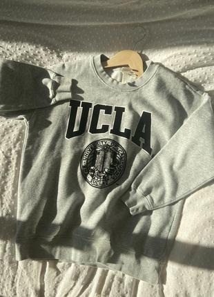 Ucla h&m серая кофта