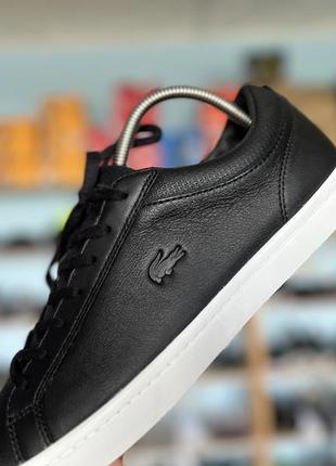 Lacoste sneakers carnaby evo hot sale