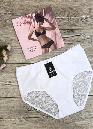 Труси жіночі anttifu 799 бавовна класика туреччина.  розмір :  3xl (54)