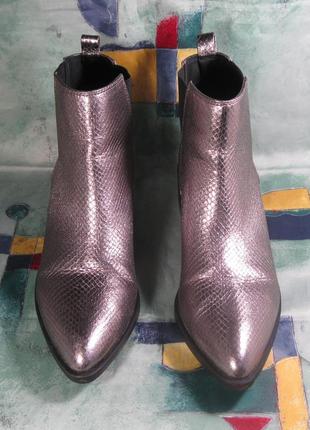 Жіночі черевики ботинки челсі colors of california сірі с блиском сріблясті луска 40 р2 фото