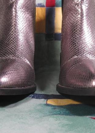 Жіночі черевики ботинки челсі colors of california сірі с блиском сріблясті луска 40 р7 фото