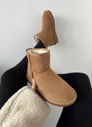 Ugg mini ginger suede  угги4 фото