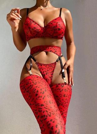 Комплект эротического белья – соблазнительное нижнее белье для женщин – sofia amber  с чулками – красный1 фото