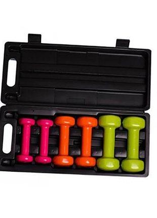 Набор гантелей в кейсе 4103 6кг (56228011), power play