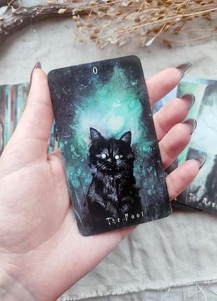 Гадальные карты таро призрачного кота haunted cat tarot таро с котиками котами колода карт2 фото