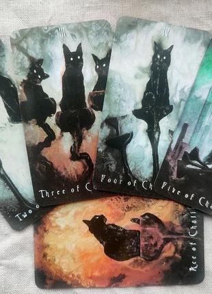 Гадальні карти таро примарного кота haunted Housses cat tarot таро з котиками котами колода карт7 фото